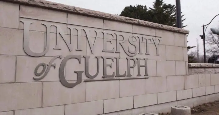 Guelph homecoming drew up to 15,000 people, generated $91K in policing costs