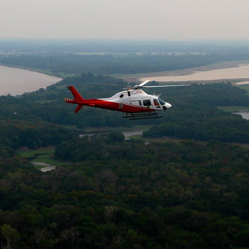 Amazon deforestation hits lowest level since 1988