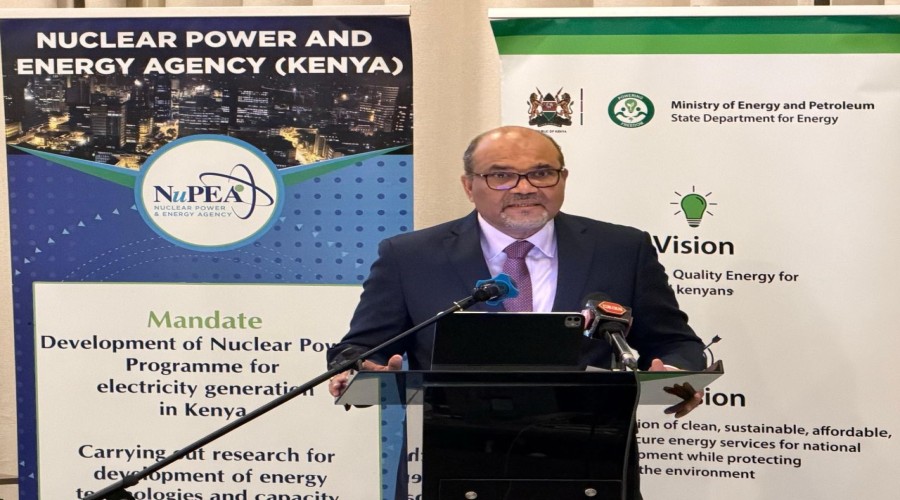 Kenya reviews Nuclear Research Reactor plans with IAEA support